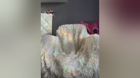 _sweet_alice_ free recording from 2026-02-06 06:12:00