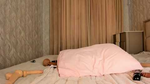 hayneiko free recording from 2026-02-06 04:12:00