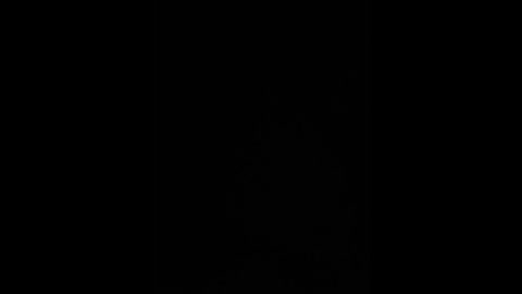 sallyeleins free recording from 2026-02-06 06:09:00