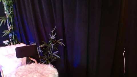 _africayaa_ free recording from 2026-02-07 14:56:00