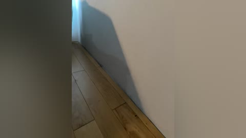 helenmax2005 free recording from 2026-04-03 02:52:00