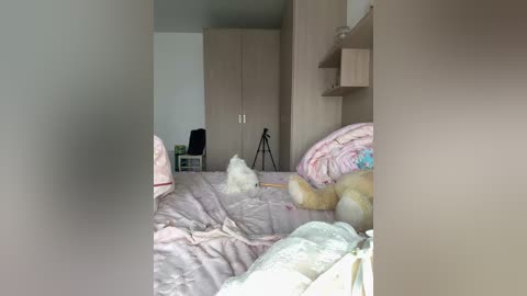 angelicfenix free recording from 2026-02-08 07:01:00