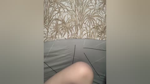 sweet1sleep free recording from 2026-04-03 02:52:00