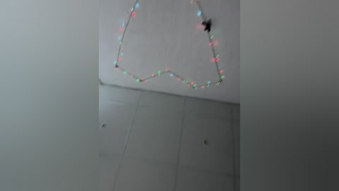 pusydiamond free recording from 2026-02-09 01:00:00