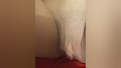 chanel77777 free recording from 2026-02-14 12:48:00