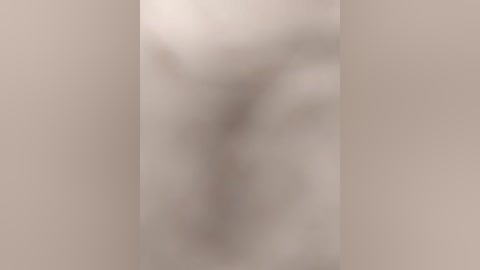 fortune___888 free recording from 2026-02-14 13:56:00