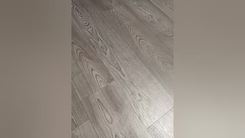 zaichullek free recording from 2026-02-15 11:36:00