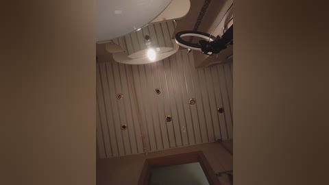 annanas free recording from 2026-02-17 01:43:00