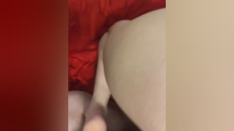 chanel77777 free recording from 2026-02-17 03:57:00