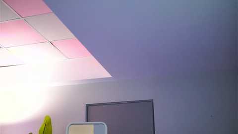 raquellevon free recording from 2026-02-17 13:46:00