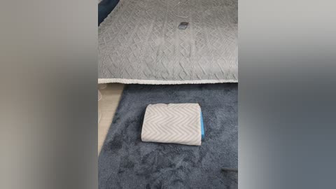 angelia22 free recording from 2026-02-18 19:26:00