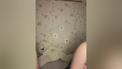 bellaandalice free recording from 