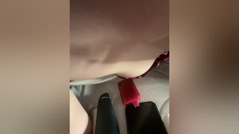 alinagilberd03 free recording from 2026-02-19 03:45:00