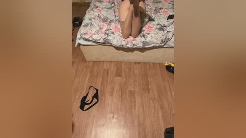 nelonia free recording from 2026-02-21 00:00:00