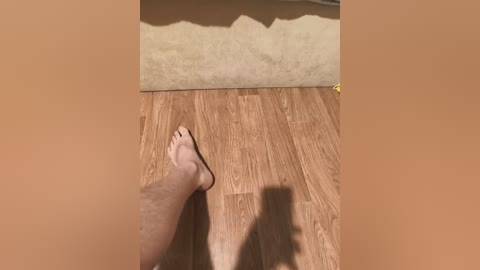 nelonia free recording from 2026-02-21 00:00:00