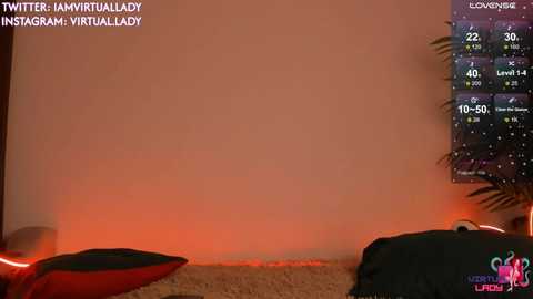 virtual_lady free recording from 2026-04-05 00:10:00