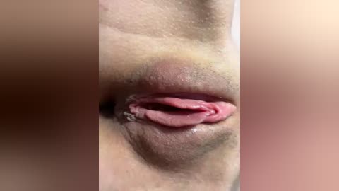 diviala free recording from 2026-02-21 09:03:00