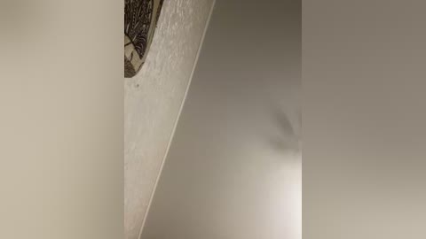 hellmor free recording from 2026-02-21 00:18:00