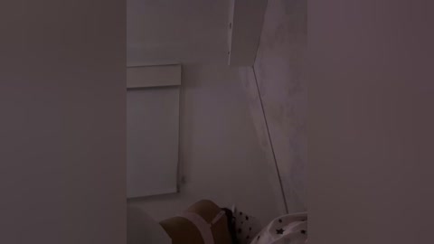 sallyeleins free recording from 2026-02-21 00:00:00