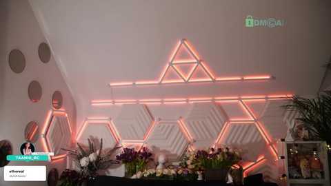 taanni free recording from 2026-02-21 00:00:00