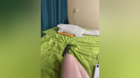 _breid_1 free recording from 2026-02-22 00:04:00