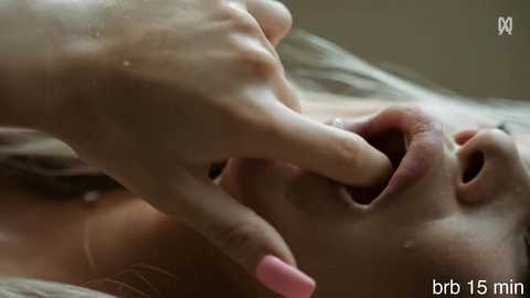 alexarays free recording from 2026-02-22 17:03:00