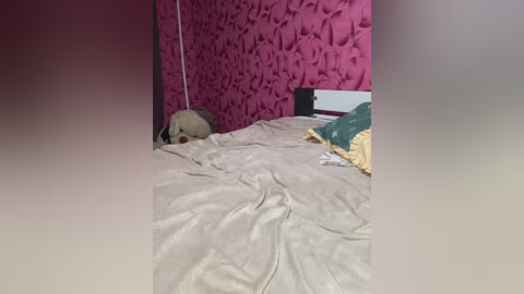 cat_meowa free recording from 2026-02-22 20:19:00