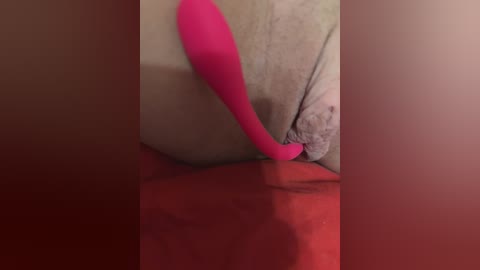 chanel77777 free recording from 2026-02-22 09:17:00