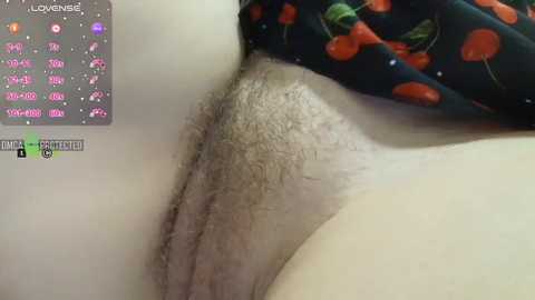 redaura free recording from 2026-02-22 20:12:00