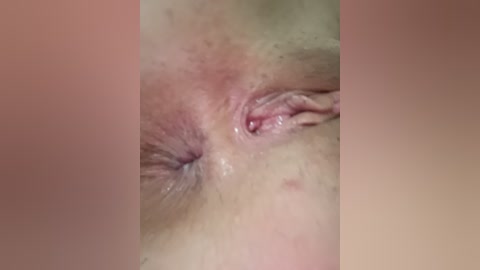 sladkie25 free recording from 2026-04-17 03:15:00