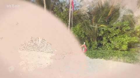 taanni free recording from 2026-02-22 00:41:00