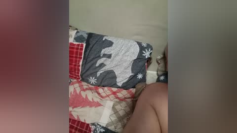 zaichullek free recording from 2026-02-22 11:42:00