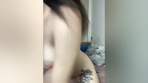 alissalexx free recording from 2026-02-23 03:33:00