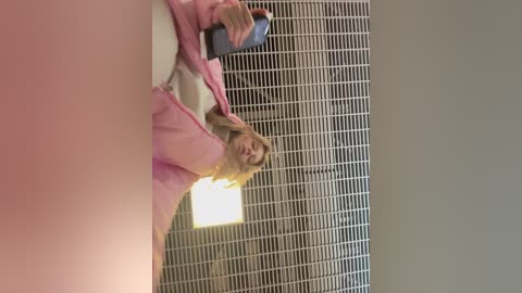 vibromashulkadashulka free recording from 2026-02-23 05:46:00