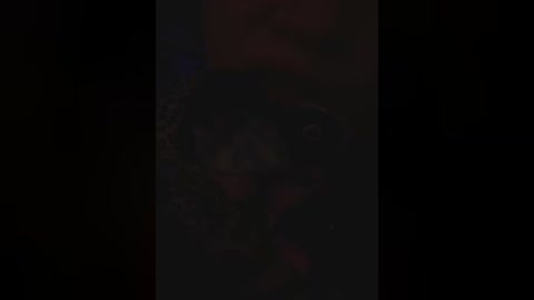 aureliyxxx free recording from 