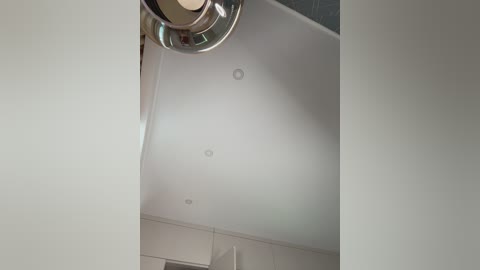 _wowfox_ free recording from 2026-02-25 10:25:00