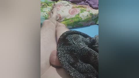 qwersad33 free recording from 2026-04-03 02:52:00