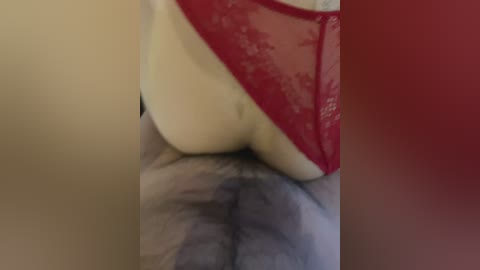 qwerty95777_1 free recording from 2026-02-25 12:09:00