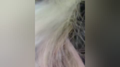 ellidi free recording from 2026-02-26 23:01:00