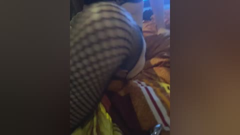 qwerty95777_1 free recording from 2026-02-26 15:24:00