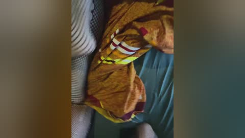 qwerty95777_1 free recording from 2026-02-26 16:29:00