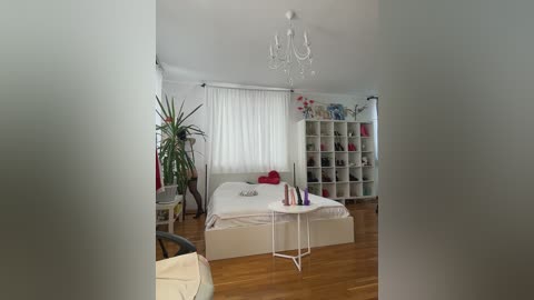 _annamaria_ free recording from 2026-02-27 10:58:00