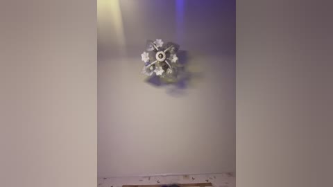 bellaandalice free recording from 