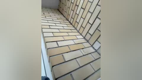 kamiandserg566 free recording from 2026-02-27 04:45:00