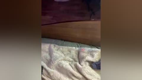 kamiandserg566 free recording from 2026-02-27 16:37:00