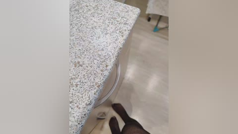 angelia22 free recording from 2026-02-28 14:22:00