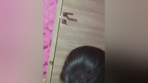 cat_meowa free recording from 2026-02-28 19:59:00