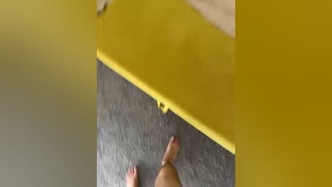 lolave free recording from 2026-02-28 12:51:00