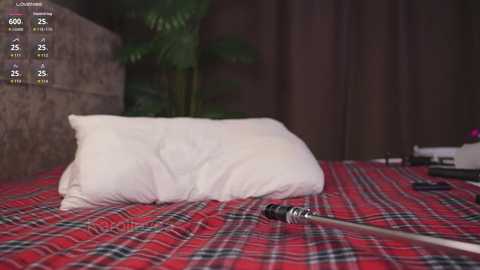 lanamalone free recording from 2026-04-03 02:52:00