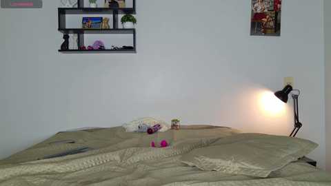 lul1lovee free recording from 2026-04-07 03:00:00